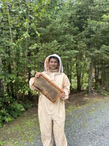 The Buzzing Hives
